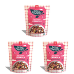 Day Dream Chocolate Raspberry Grain-Free Granola, 8oz